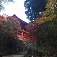 比叡山延暦寺の写真・動画_image_236310
