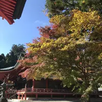 比叡山延暦寺の写真・動画_image_236311