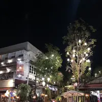 Allway Caféの写真・動画_image_236430