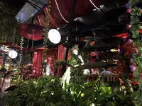 Allway Caféの写真・動画_image_236431