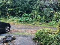 伊豆シャボテン動物公園の写真・動画_image_236452