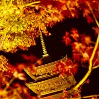 東寺（教王護国寺）の写真・動画_image_236460