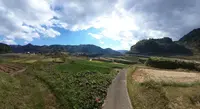 栃又の棚田の写真・動画_image_236513
