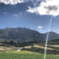 栃又の棚田の写真・動画_image_236515