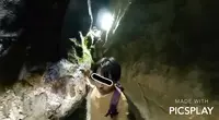 千仏鍾乳洞の写真・動画_image_236539