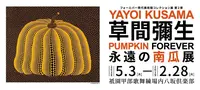 【閉館】フォーエバー現代美術館 祇園京都の写真・動画_image_236554