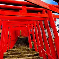 元乃隅神社の写真・動画_image_236588