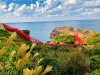 元乃隅神社の写真・動画_image_236589