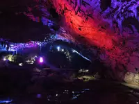 秋芳洞の写真・動画_image_236598