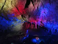 秋芳洞の写真・動画_image_236600