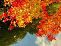 三景園の写真・動画_image_236604