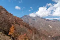 いろは坂の写真・動画_image_236629