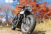 中禅寺湖の写真・動画_image_236631