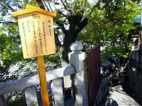 高津宮（高津神社）の写真・動画_image_236760