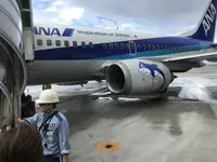 宮古空港の写真・動画_image_236965