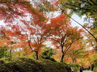 中尊寺の写真・動画_image_237091