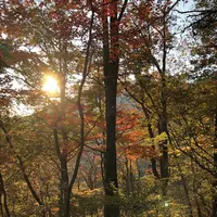 榛名神社の写真・動画_image_237172