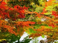 由志園の写真・動画_image_237183