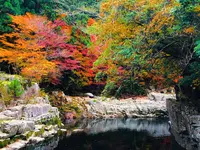 奥津渓の写真・動画_image_237184