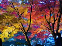 奥津渓の写真・動画_image_237186