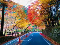 奥津渓の写真・動画_image_237188