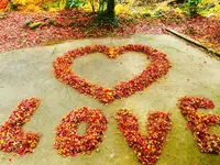 奥津渓の写真・動画_image_237189