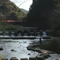 岩屋公園の写真・動画_image_237246