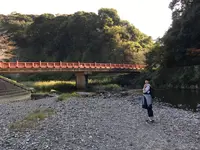 岩屋公園の写真・動画_image_237248
