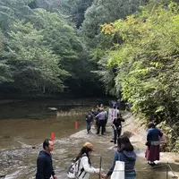 濃溝の滝の写真・動画_image_237276