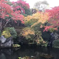 箱根美術館の写真・動画_image_237331