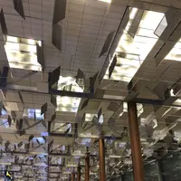 シンガポール・チャンギ国際空港（Singapore Changi International Airport）の写真・動画_image_237399