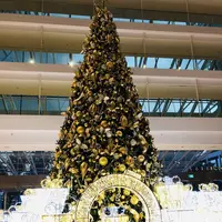 Marina Bay Sands Singapore（マリーナベイ・サンズ）の写真・動画_image_237401