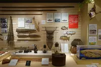 江戸川区郷土資料室の写真・動画_image_237592