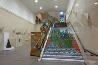 葛飾区郷土と天文の博物館の写真・動画_image_237597