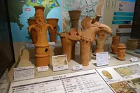 葛飾区郷土と天文の博物館の写真・動画_image_237652