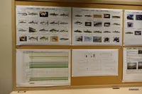 葛飾区郷土と天文の博物館の写真・動画_image_237660
