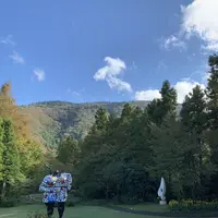 彫刻の森美術館の写真・動画_image_237851