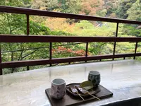 袋田の滝の写真・動画_image_237950