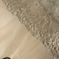 渡口の浜の写真・動画_image_237955