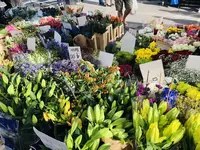Portobello Road Marketの写真・動画_image_238331