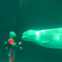 鴨川シーワールドの写真・動画_image_238395