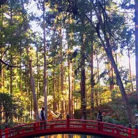 小國神社の写真・動画_image_238410
