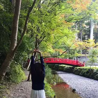 小國神社の写真・動画_image_238412