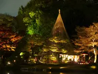 六義園の写真・動画_image_238481