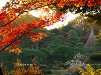 六義園の写真・動画_image_238486