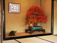 国営昭和記念公園の写真・動画_image_238495