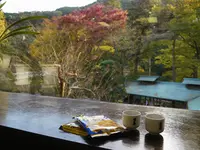 澤乃井園　清流ガーデンの写真・動画_image_238508