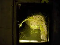 澤乃井園　清流ガーデンの写真・動画_image_238509