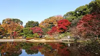 皇居乾通りの写真・動画_image_238511