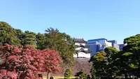 皇居乾通りの写真・動画_image_238512